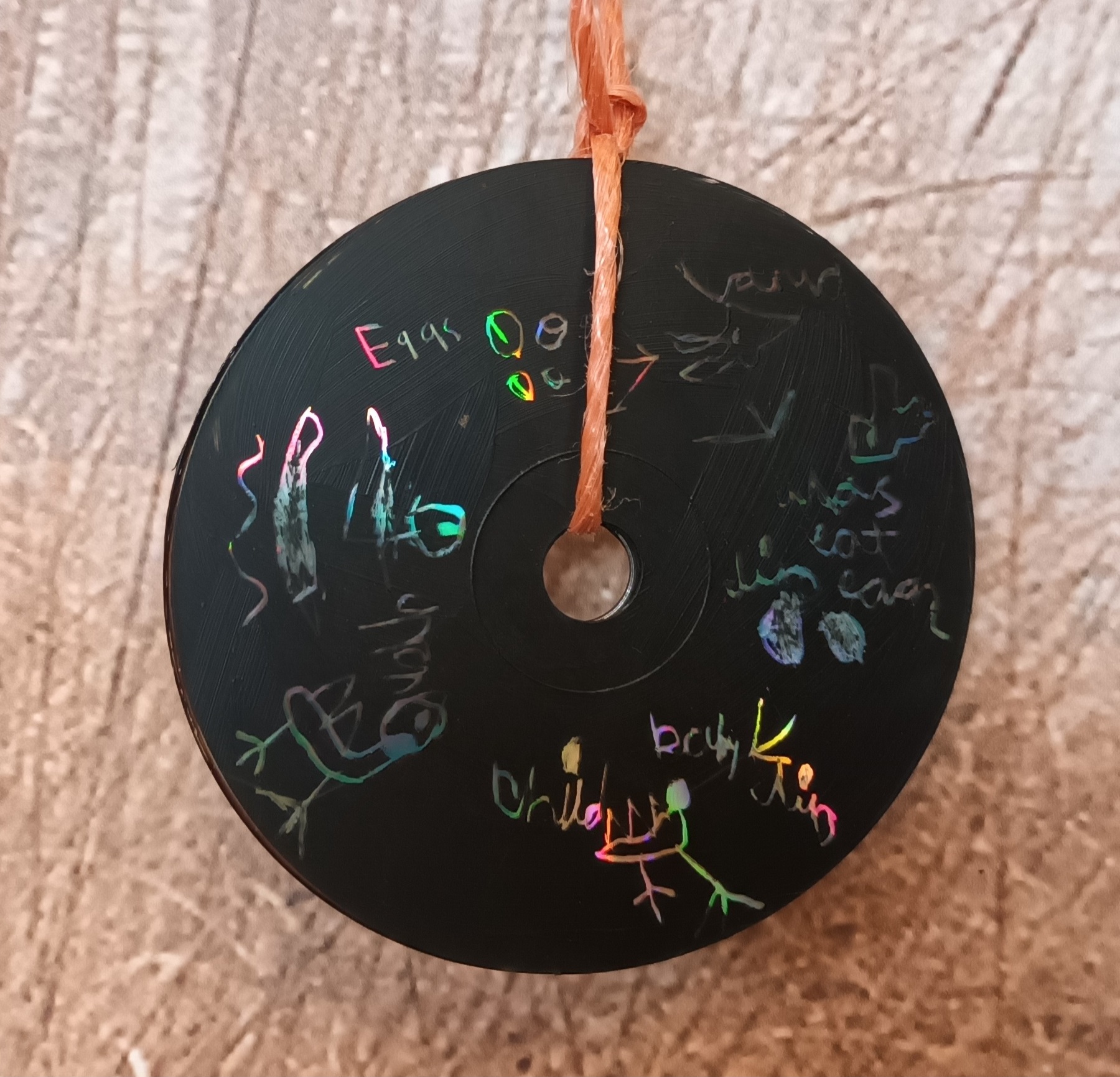 wild eel sun catcher