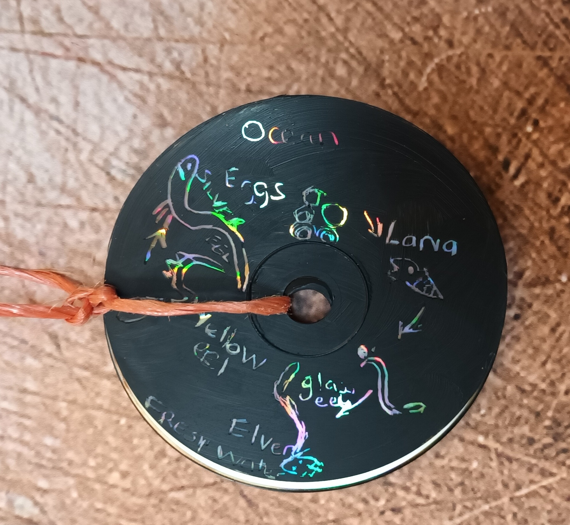 wild eel sun catcher