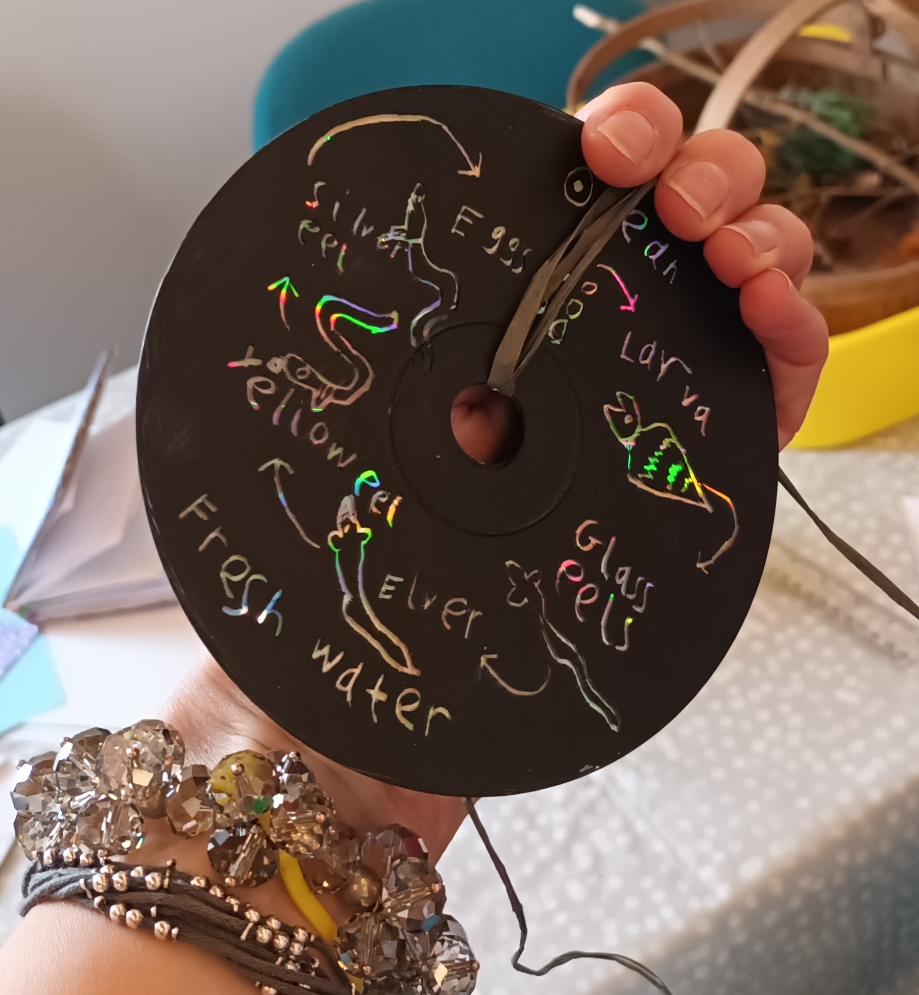 wild eel sun catcher