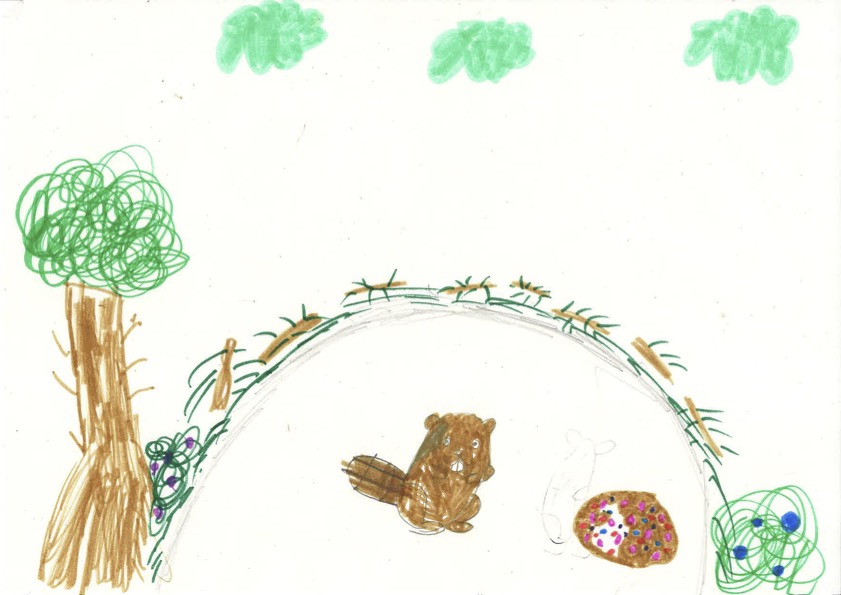 Beaver Eating His Favourite Dinner