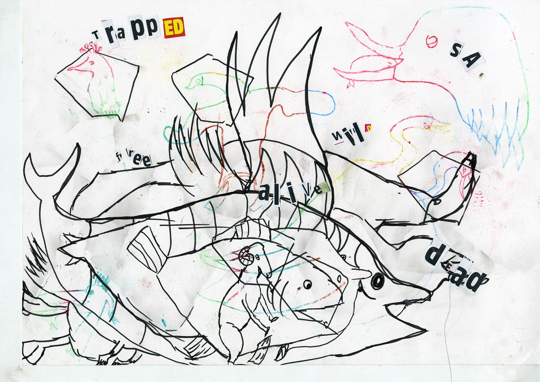 Pudsey Primrose Hill Primary School