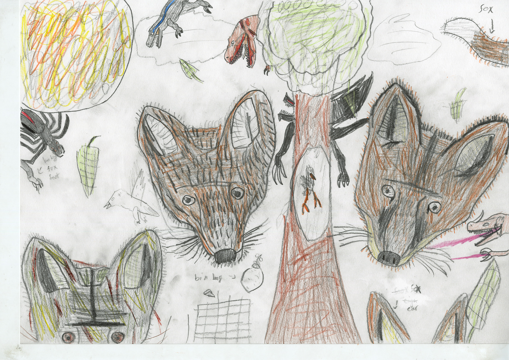 Lawns Park Primary School