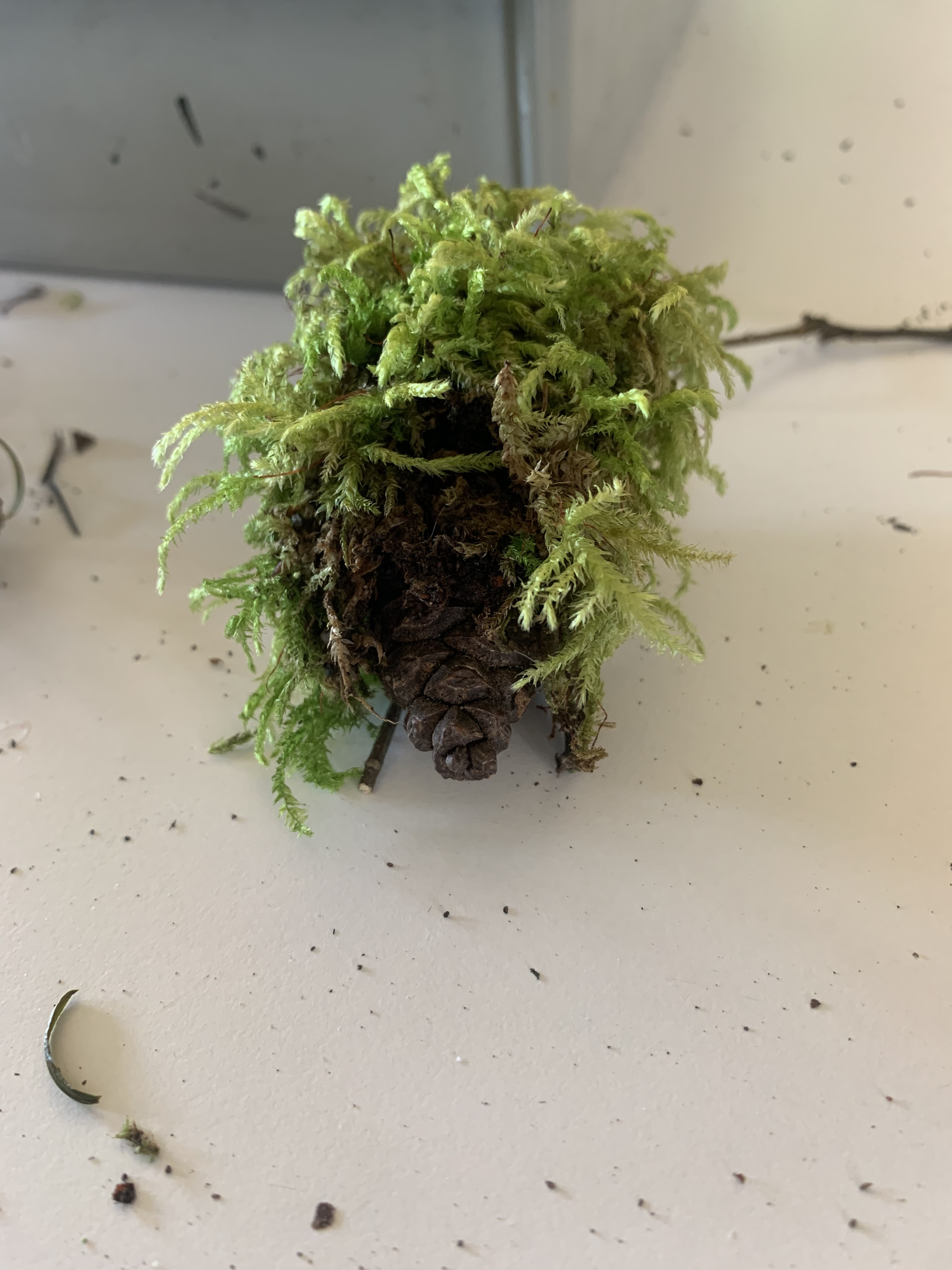 Green Pinecone Monster