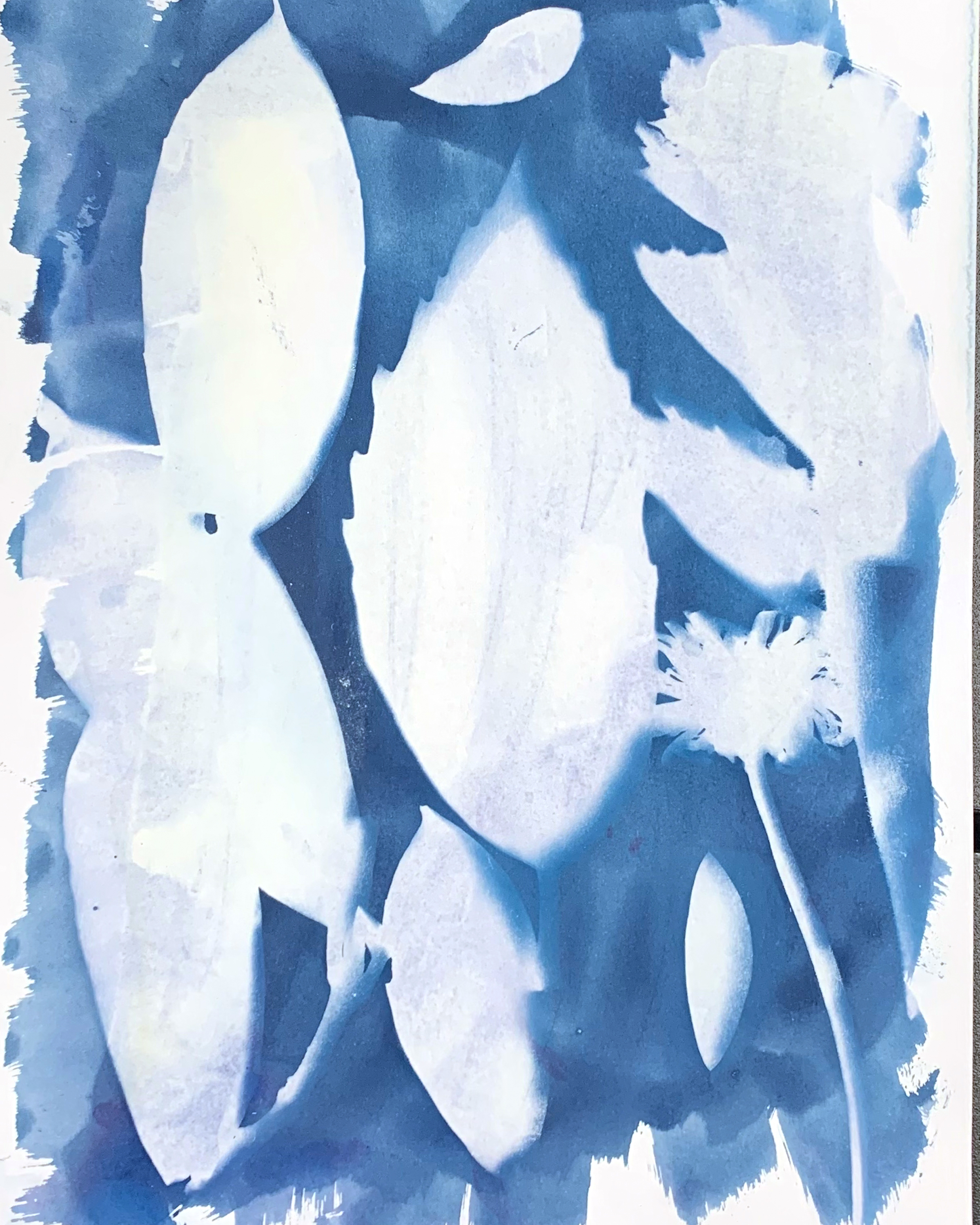 Leaves and Dandelion